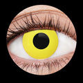 Yellow Crow Contact Lenses