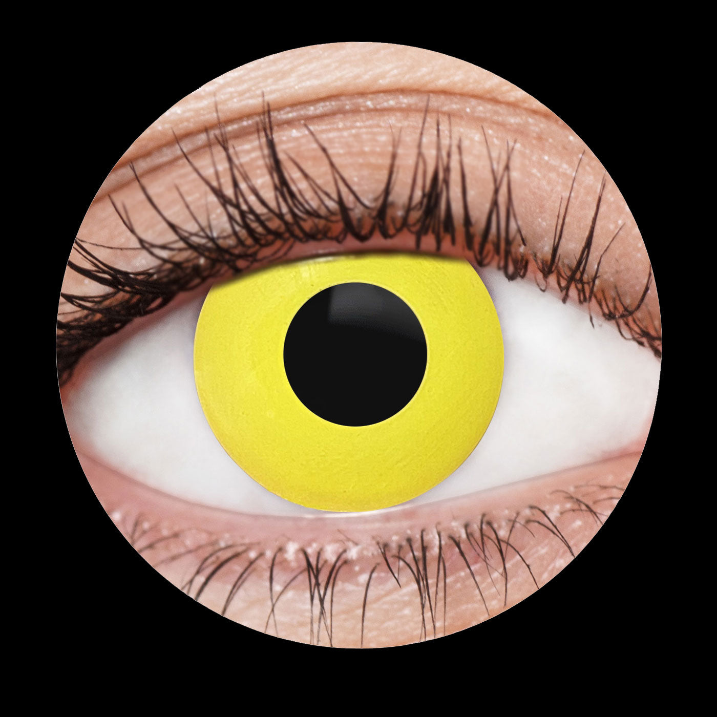 Yellow Crow Contact Lenses