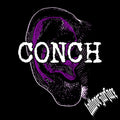 001d Conch Piercing