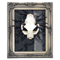 Anarchic Reminiscent Cat Skull Faux Curiosity Frame