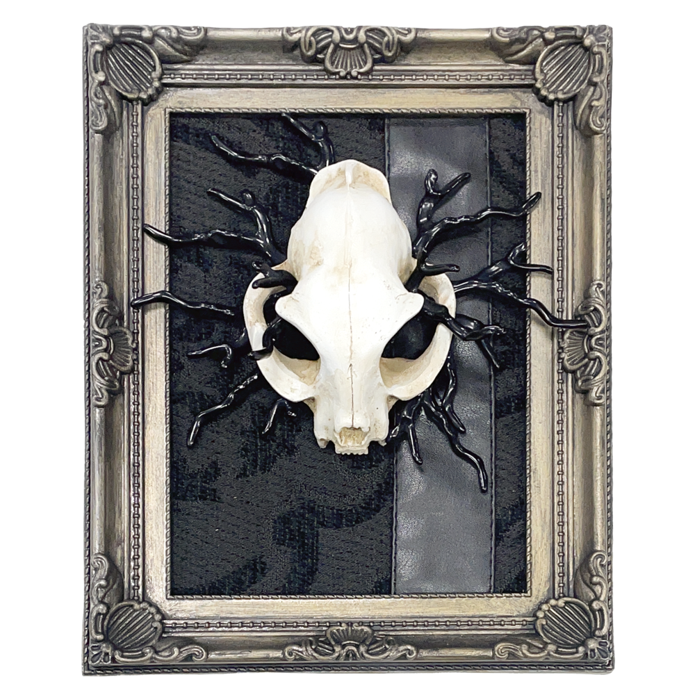 Anarchic Reminiscent Cat Skull Faux Curiosity Frame