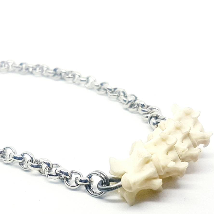 Warrior Python Bone And Stainless Steel Necklace