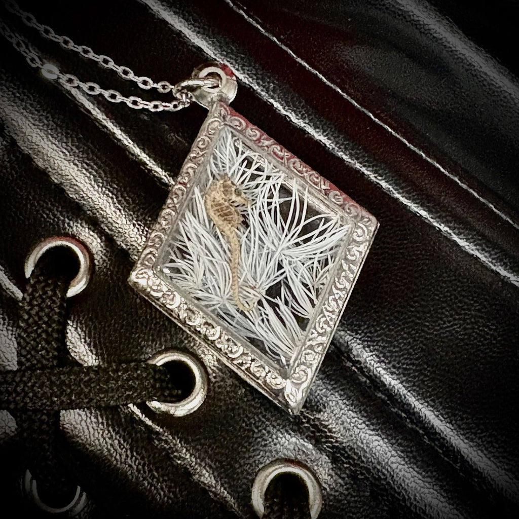 Veil of Seahorse Genuine Specimen Necklace