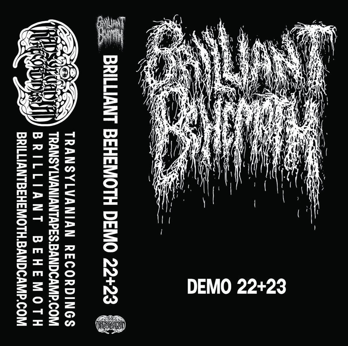 BRILLIANT BEHEMOTH - Demo's 22+23 (2023) Cassette