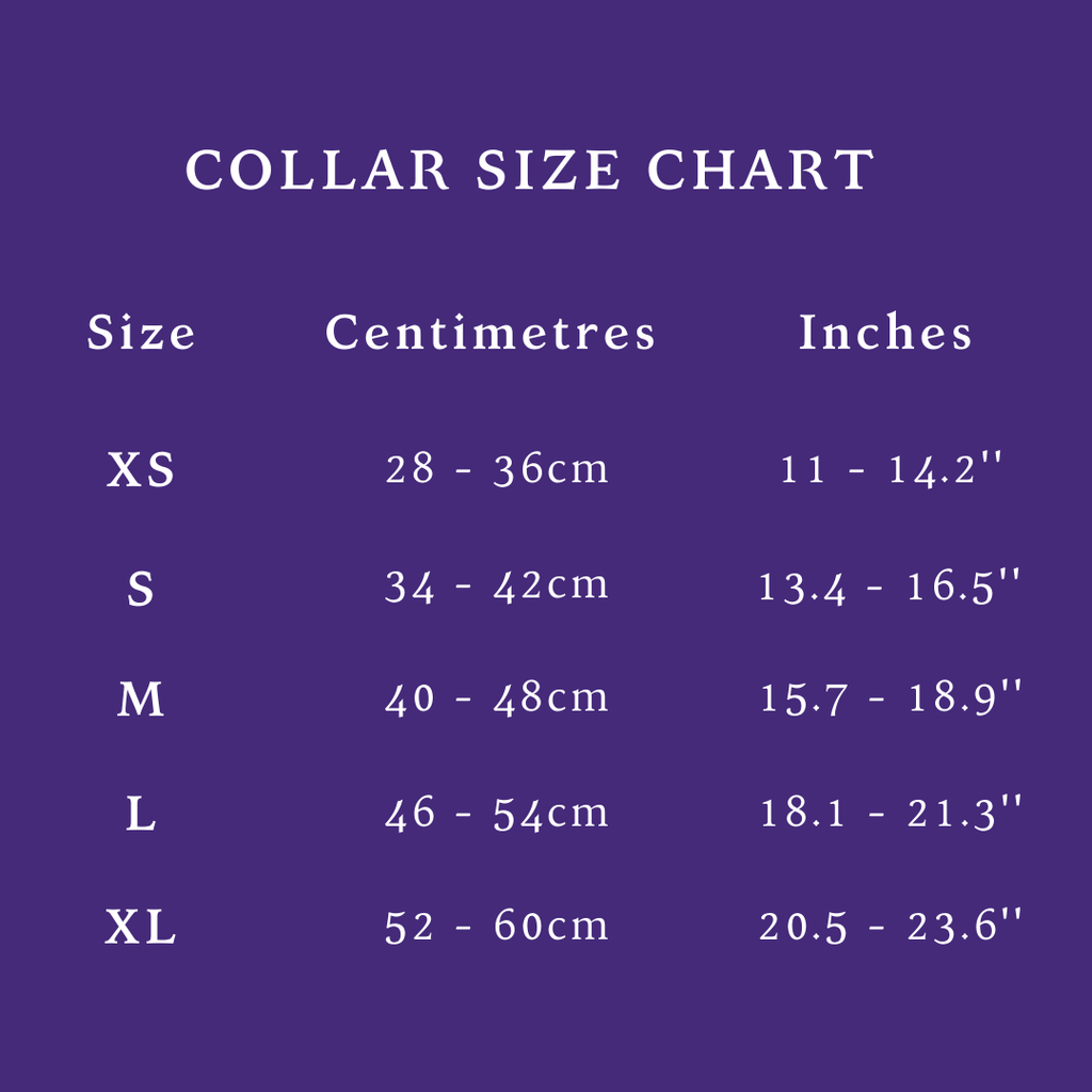 Ariel Damnation Collar