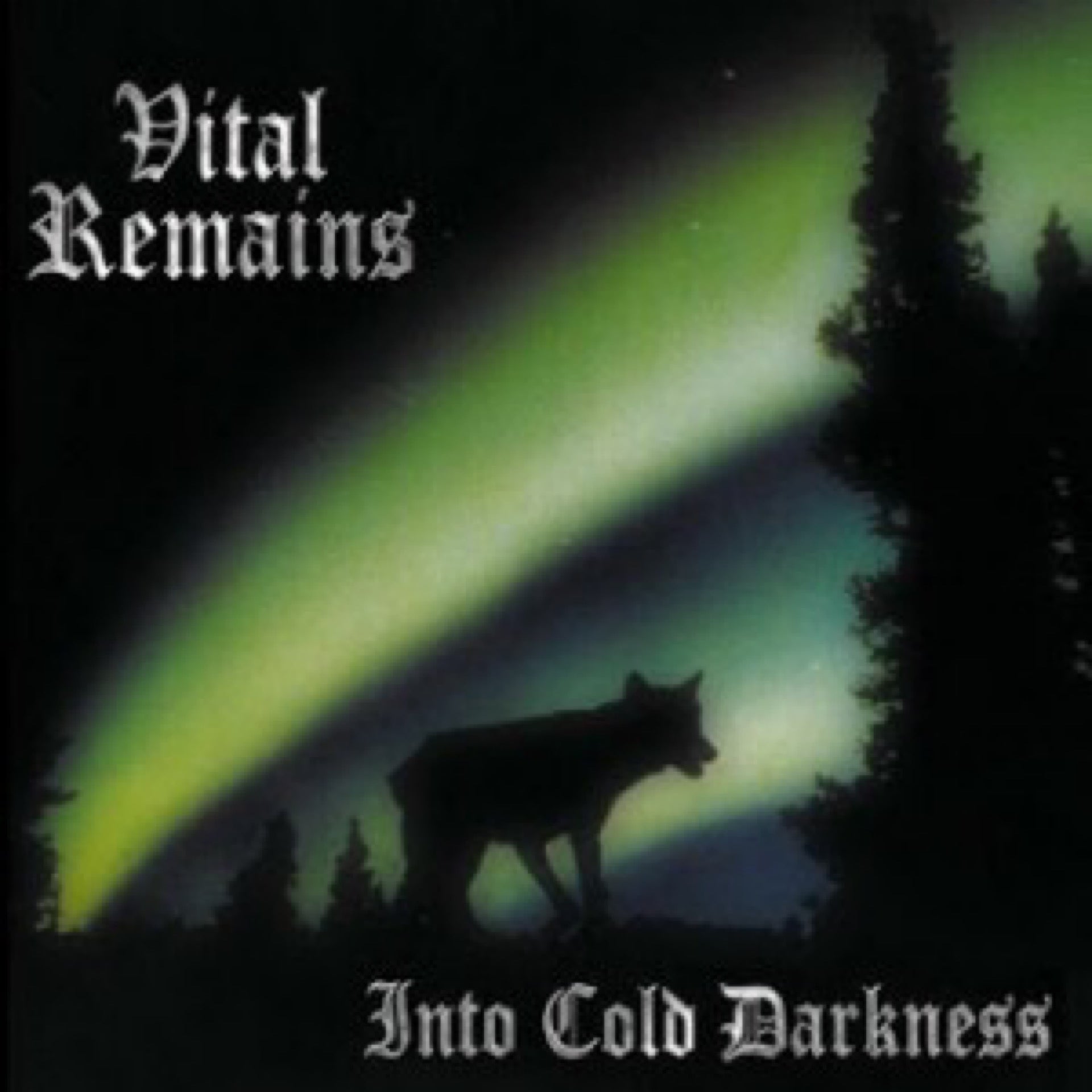 VITAL REMAINS Into Cold Darkness CD (1995)