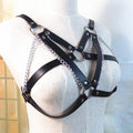 Sinner Harness