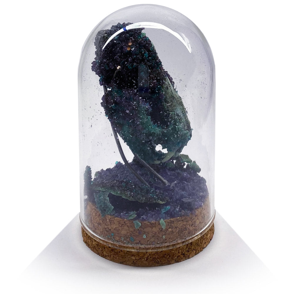 Crystalized Mink Skull