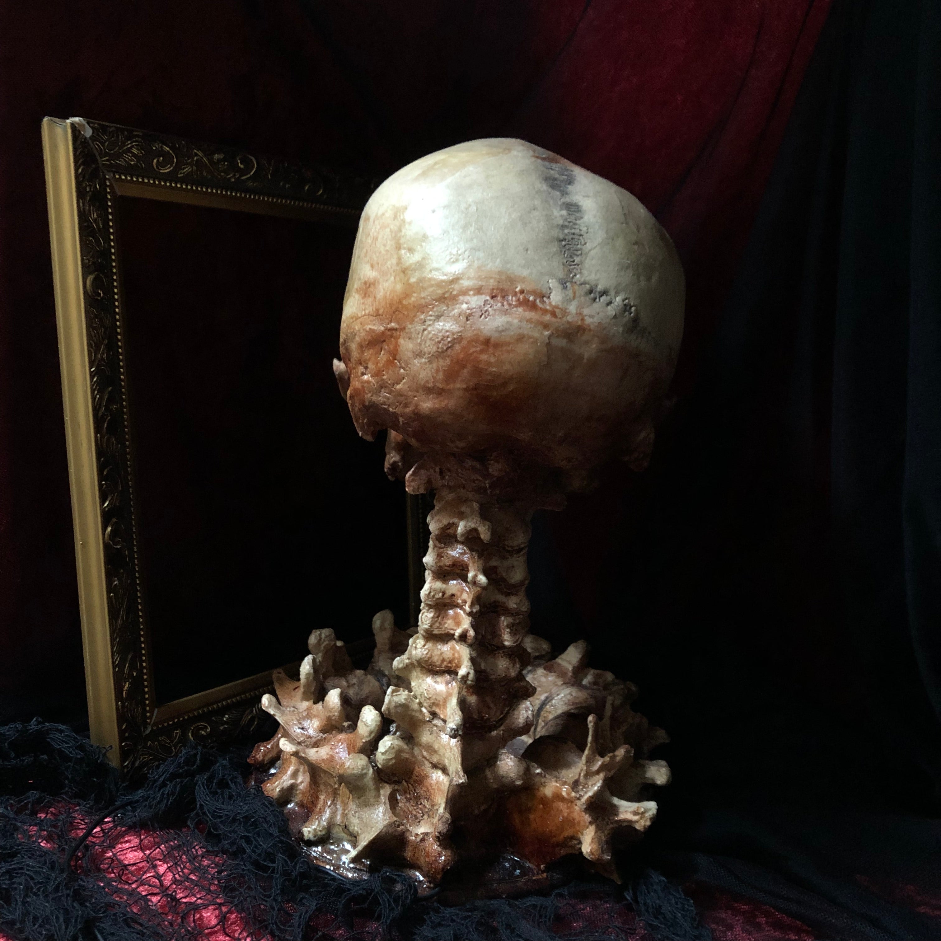 Death's Stare Skull Lamp