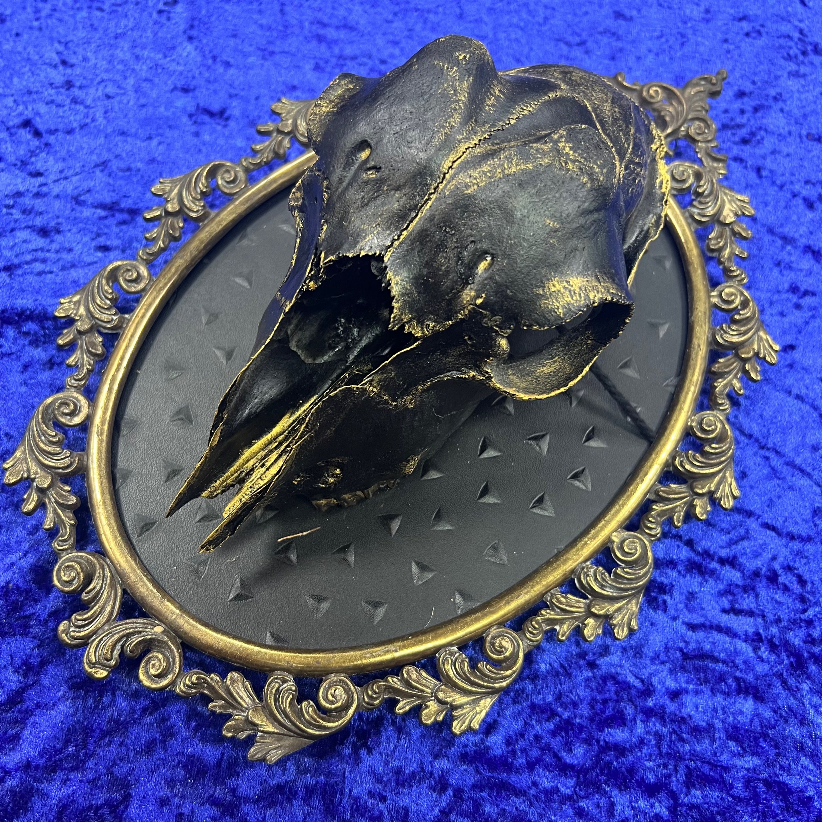 Gold Sheep
