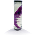 Prawn Diaphonised Specimen Jar