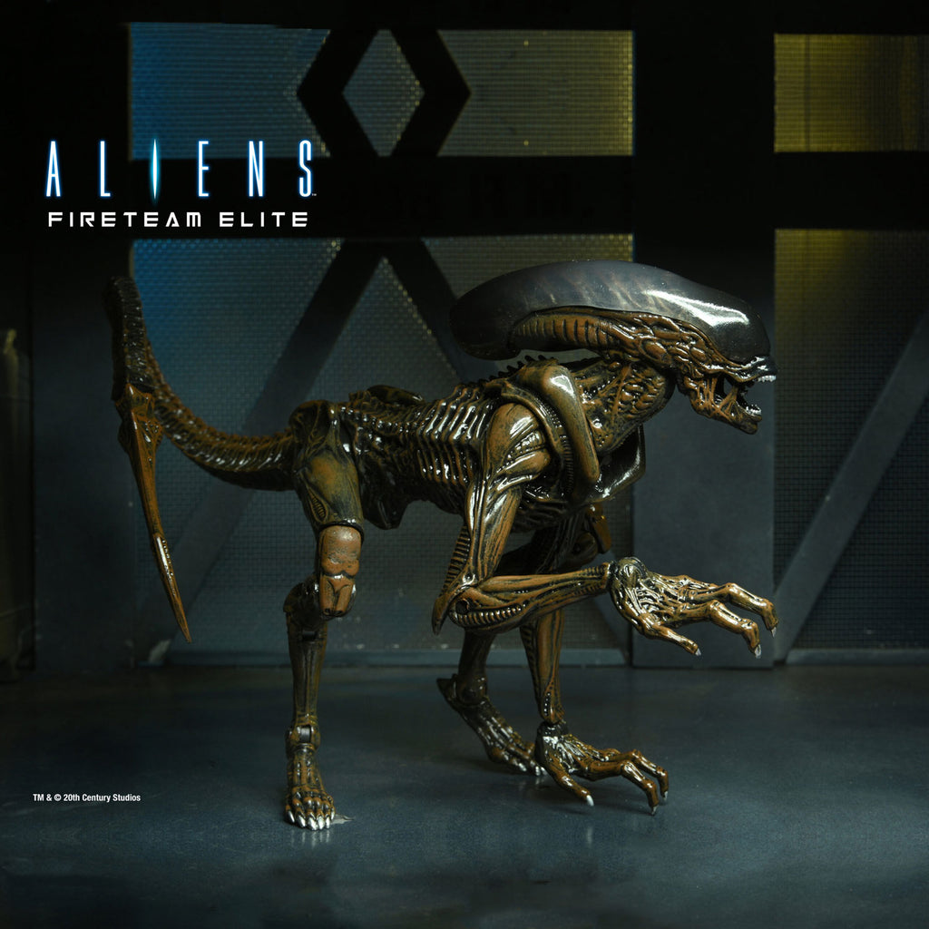 Runner Alien - 7" Scale Action Figure - Aliens Fireteam Elite