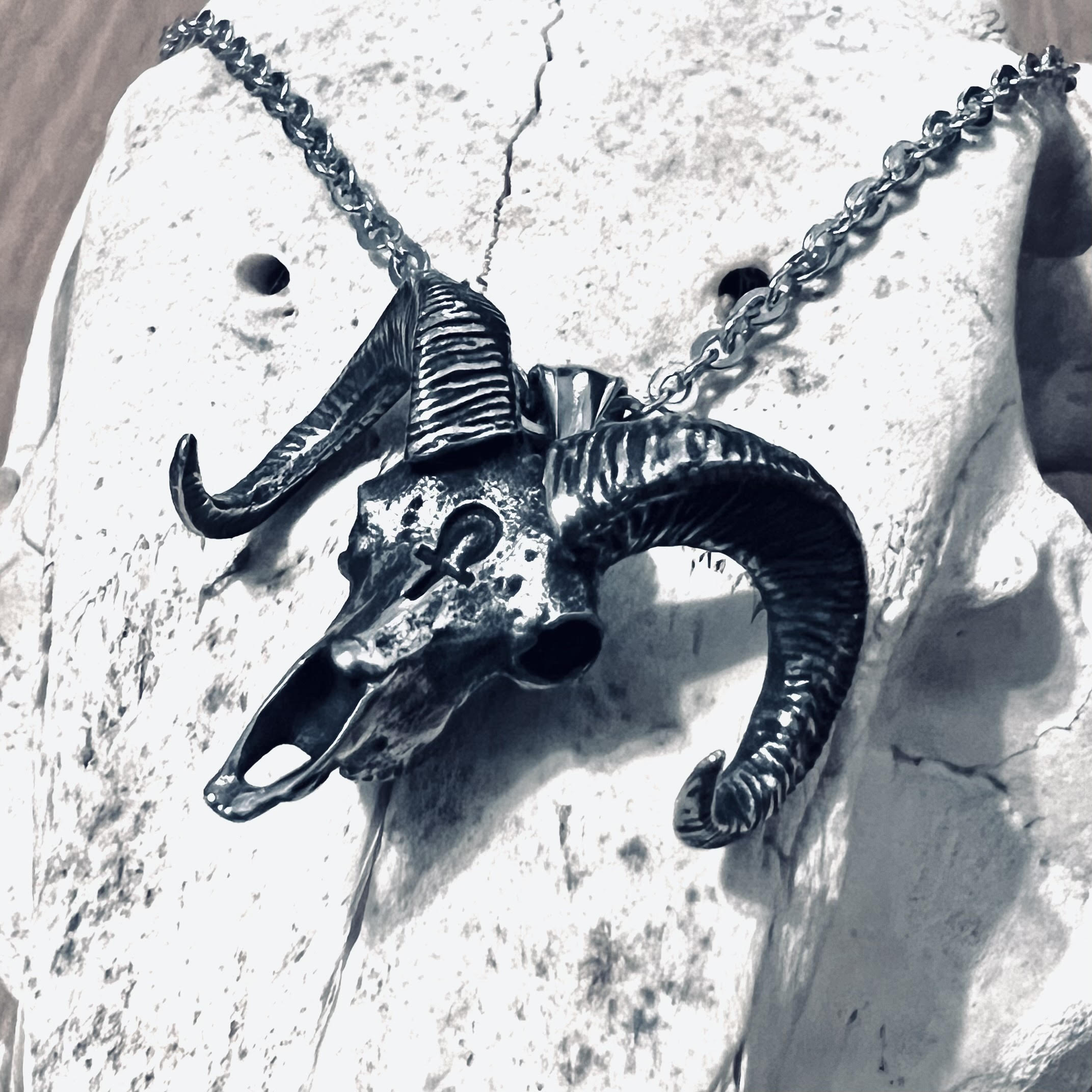 Horned Eternity Necklace