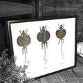 Flying Lizard Trio Framed Specimens
