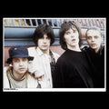 STONE ROSES Band Members Poster 178