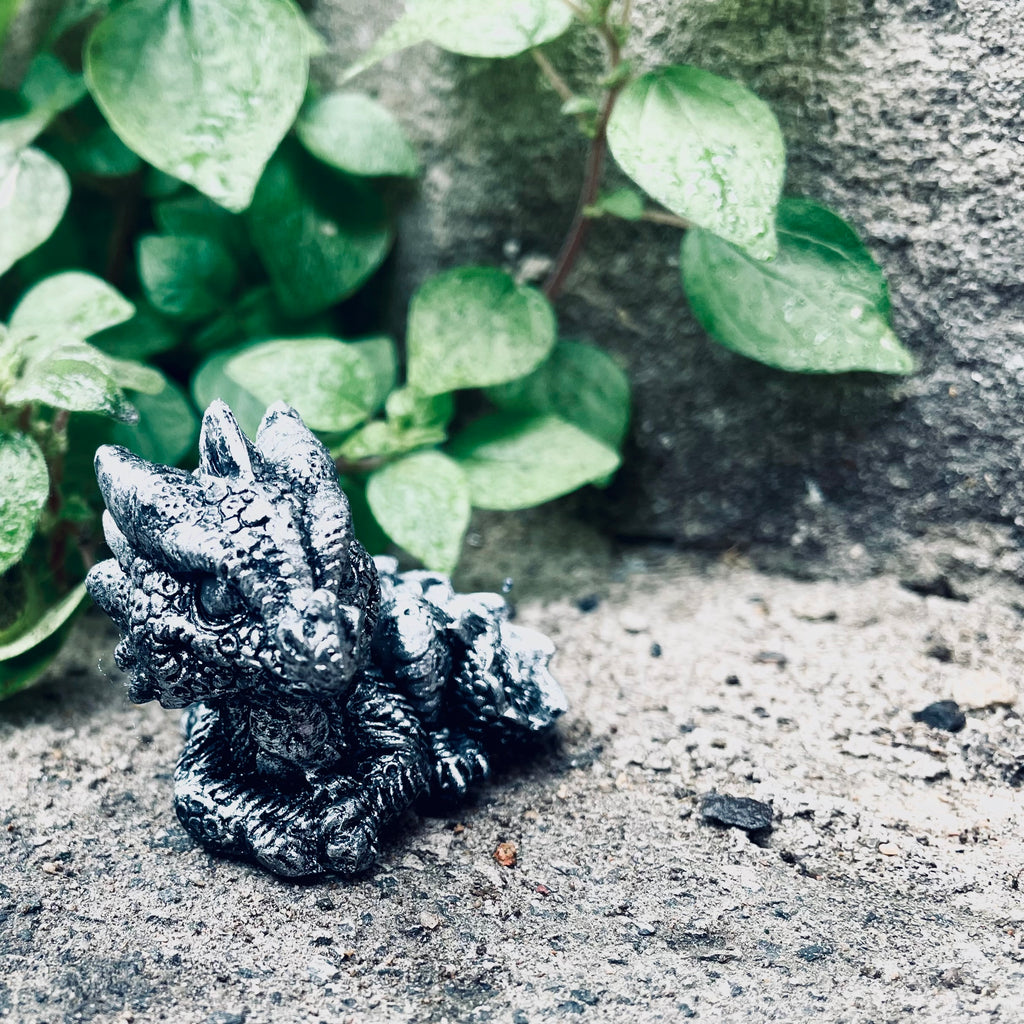 Hatchling Dragon Pocket Companion