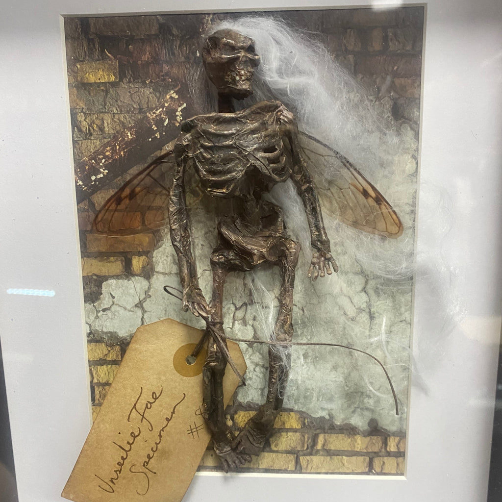 Faery #87 Unseelie Fae Specimen