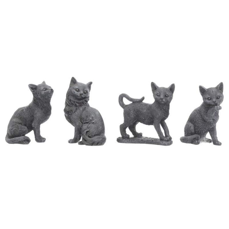 Tiny Lucky Black Cat