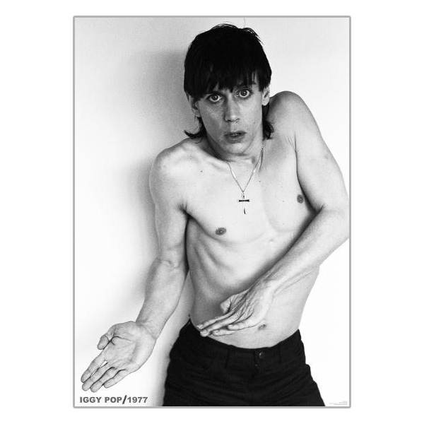 STOOGES (The), Iggy Pop 1977 Poster 148