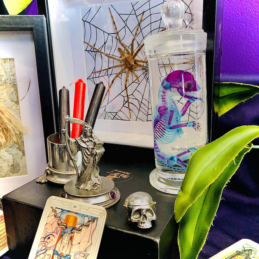 Mortalitas Pill Box