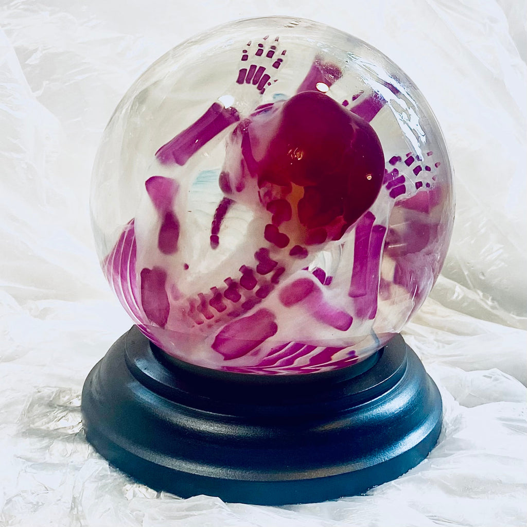 Poodle Puppy Diaphonised Wet Specimen