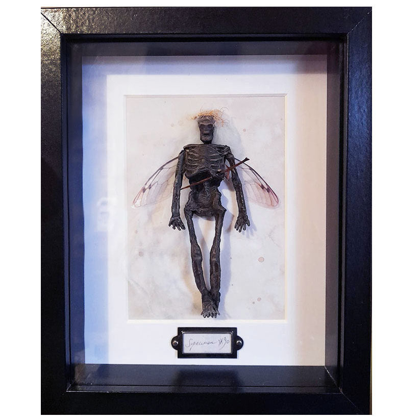 Faery Specimen #90