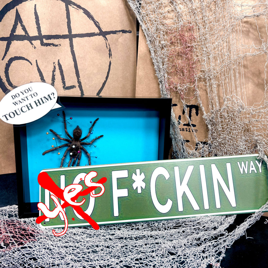 Event Ticket Tarantula Spider Shadow Box Frame - Specimen Workshop