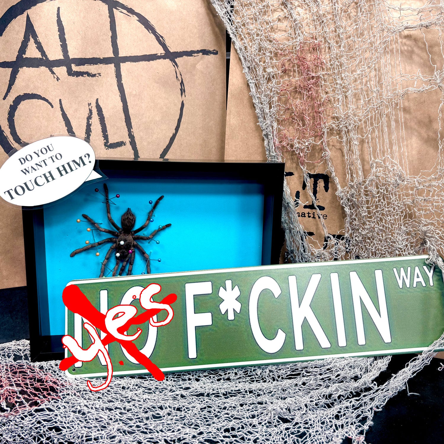 Event Ticket Tarantula Spider Shadow Box Frame - Specimen Workshop