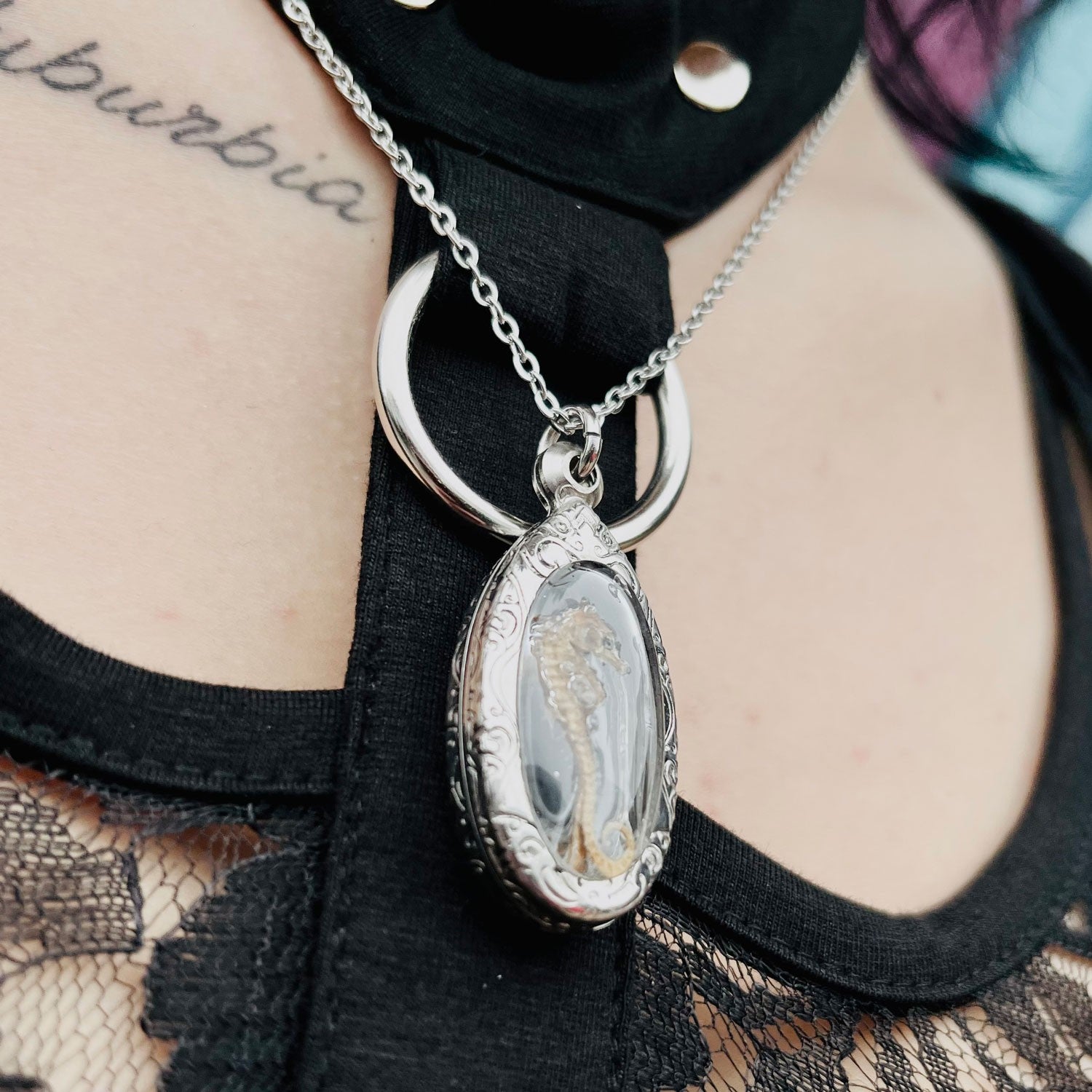 Brooding Seahorse Genuine Specimen Necklace