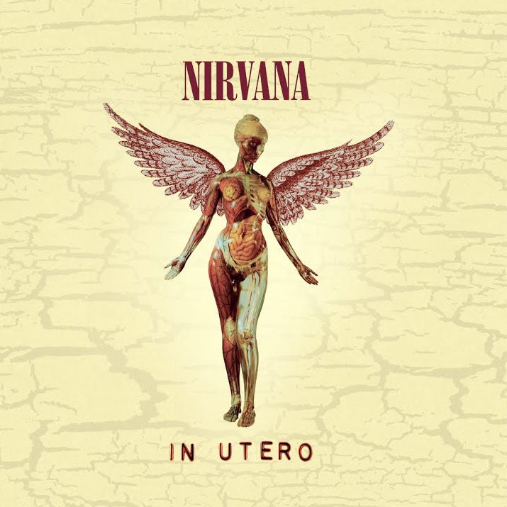 NIRVANA In Utero Wooden Wall Art