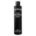 Holyplex No.1 Purify Shampoo Attitude Hair Dye Care and Repair