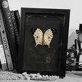 Mother Of Pearl Butterfly Genuine Framed Specimen