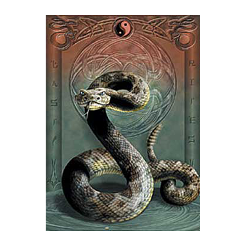 Death Adder Spiral Snake Poster 220