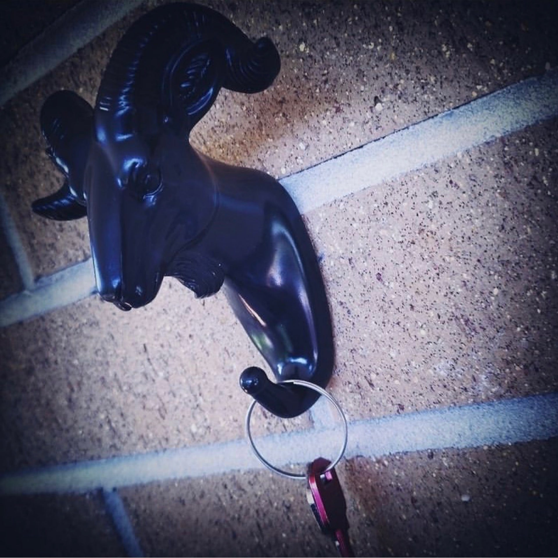 Mystic Stag Wall Hook