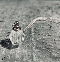 Immaculate Clear Cremation Vial Necklace