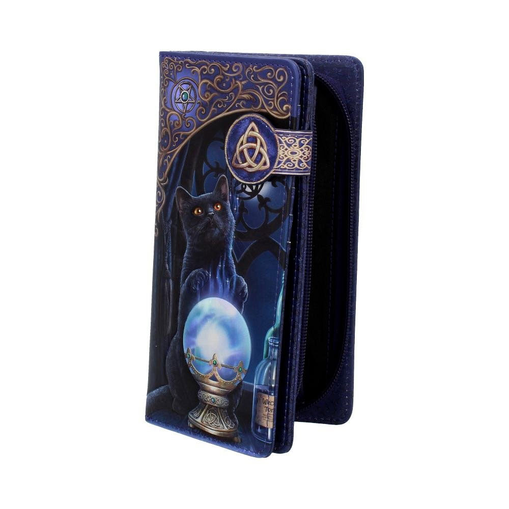 Witches Apprentice Cat Scrying Wallet