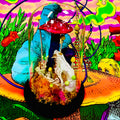 Specimen Domes - Various