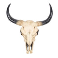 Horns Wall Hanging Skull
