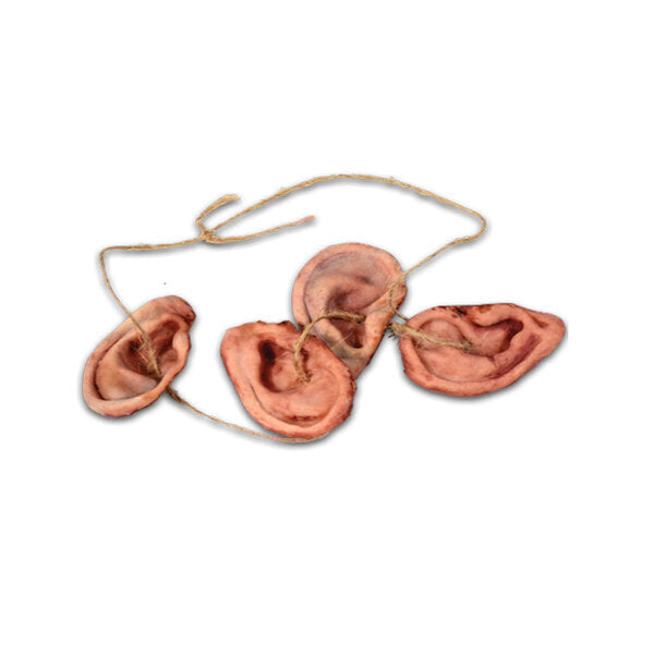 Walker Ear Necklace - The Walking Dead