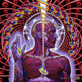 TOOL Lateralus CD (2001)