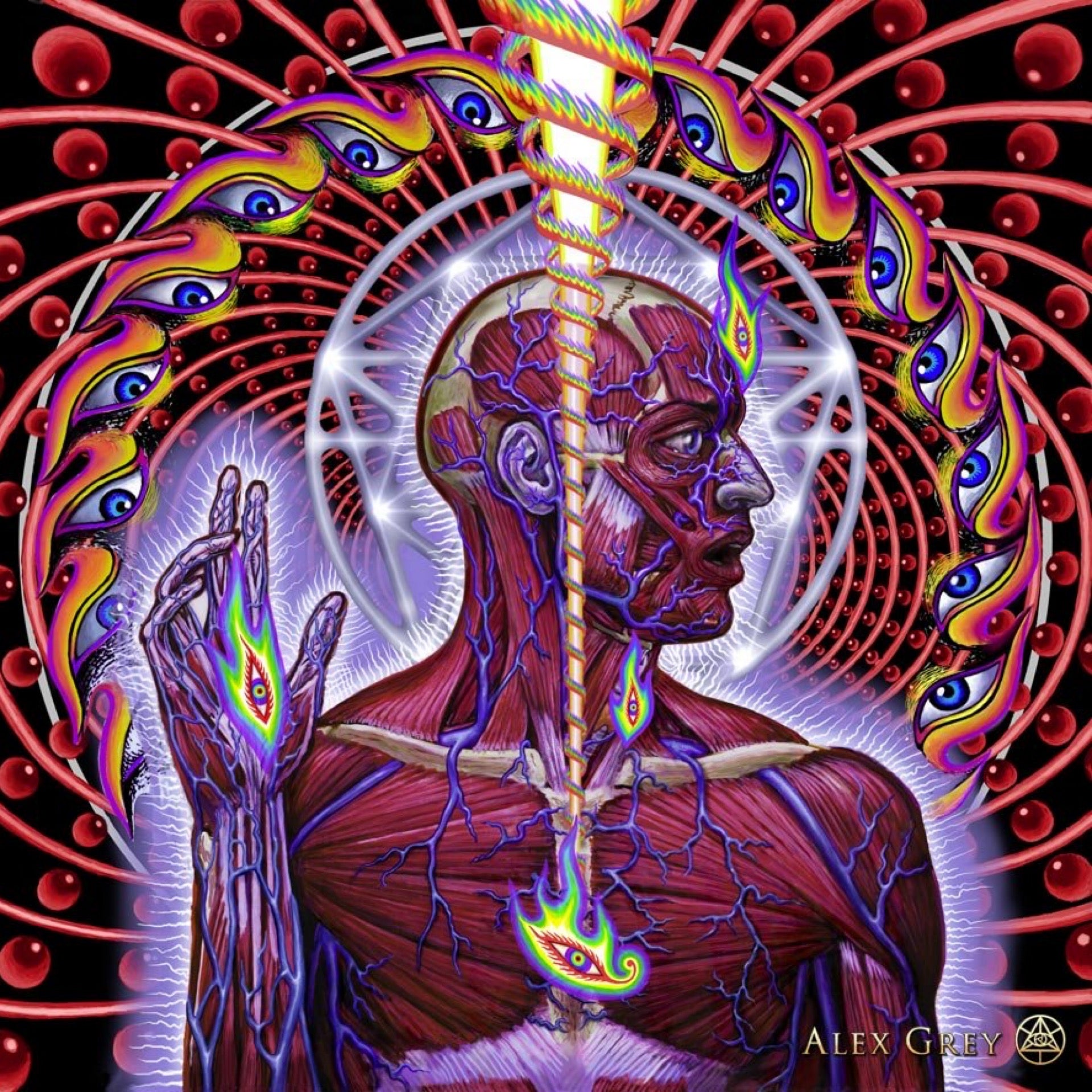 TOOL Lateralus CD (2001)