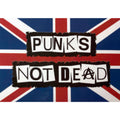 Punks Not Dead Wall Flag
