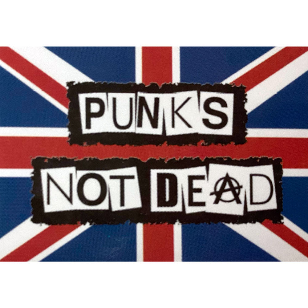 Punks Not Dead Wall Flag