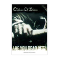 CHILDREN OF BODOM (COB) Are You Dead Yet Wall Flag
