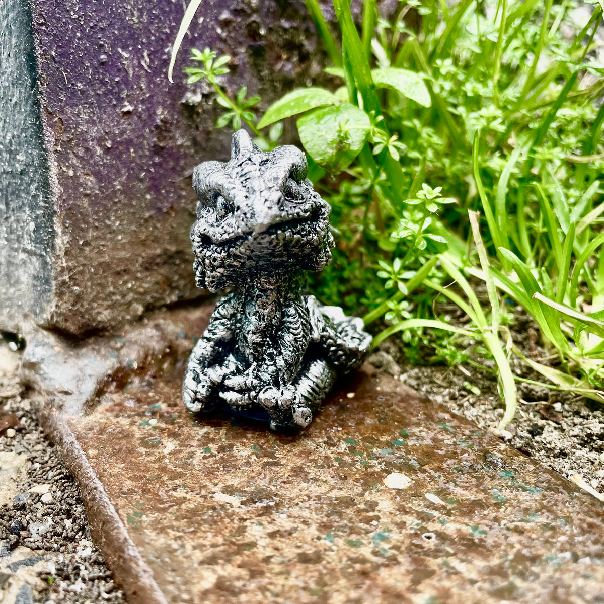 Hatchling Dragon Pocket Companion