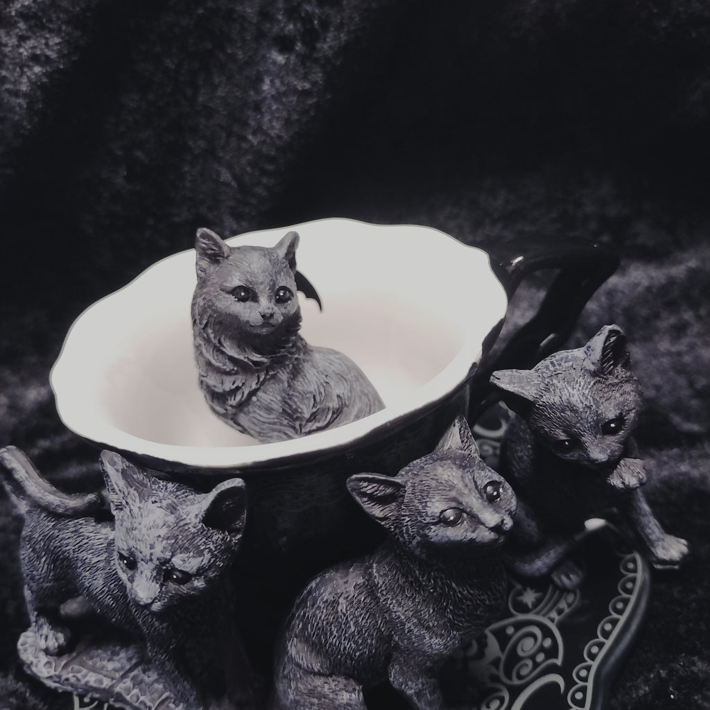 Tiny Lucky Black Cat