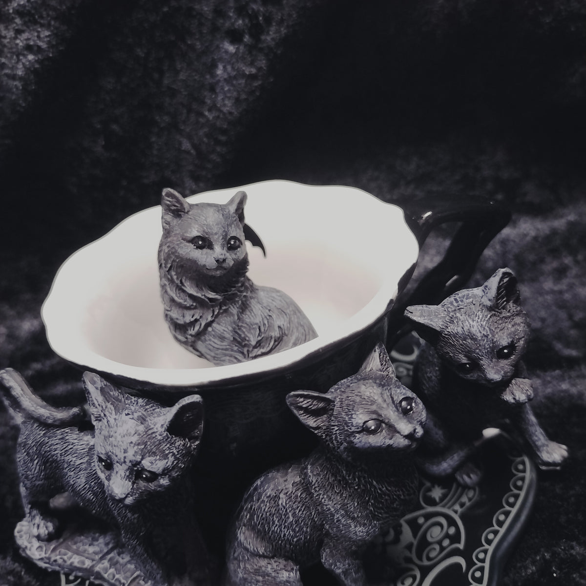 Tiny Lucky Black Cat