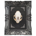 Nightstalker Cat Skull Framed Specimen Wall Decor