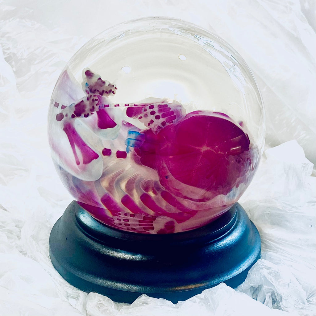 Poodle Puppy Diaphonised Wet Specimen