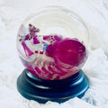 Poodle Puppy Diaphonised Wet Specimen